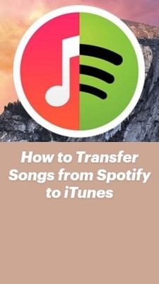 How to Download Music from Spotify to Phone: A Detailed Guide with FAQs